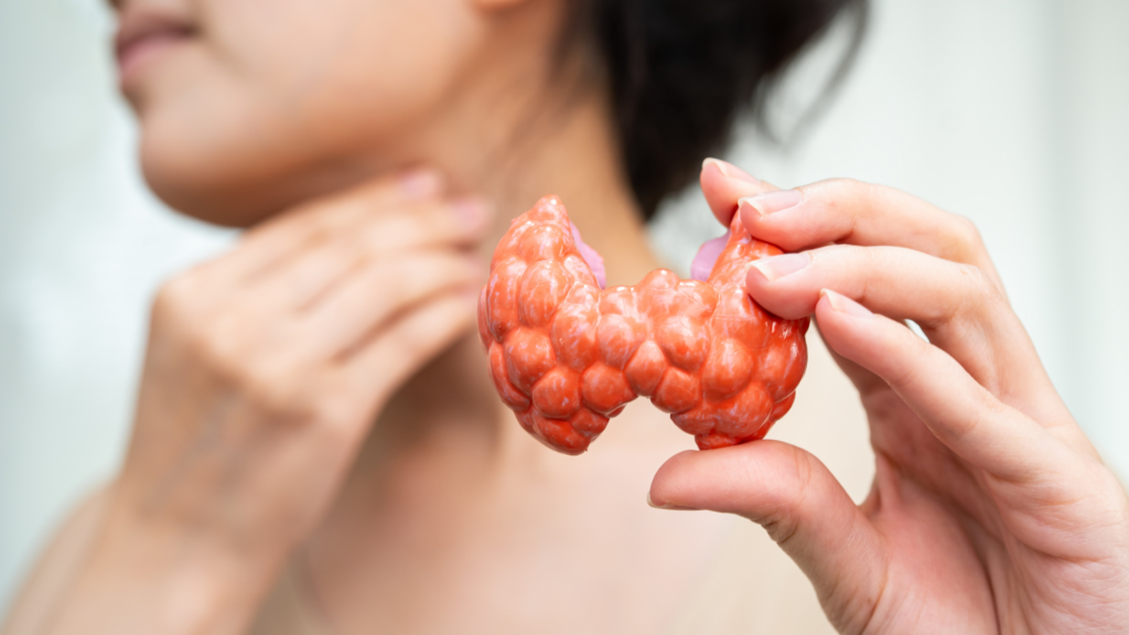 Thyroid Gut Connection