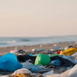 endocrine disruptors south africa