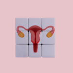 Diagram of PCOS insulin resistance South Africa root cause cycle explaining how high insulin affects ovaries.